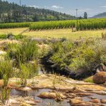 Environmental Photographer Africa