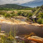 Environmental Photographer Africa