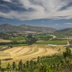 Environmental Photographer Africa