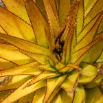 Environmental Photographer Africa