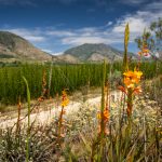 Environmental Photographer Africa