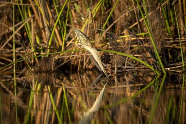 Environmental Photographer Africa