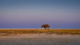 Environmental Photographer Africa
