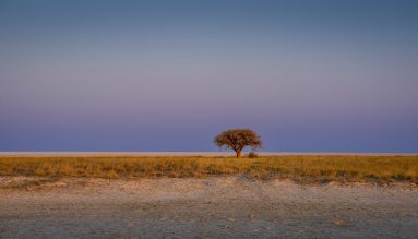 Environmental Photographer Africa