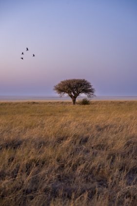 Environmental Photographer Africa