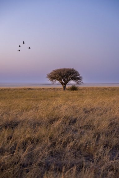 Environmental Photographer Africa