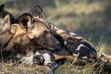 Environmental Photographer Africa