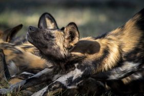 Environmental Photographer Africa