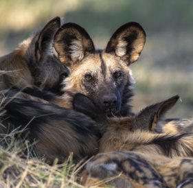 Environmental Photographer Africa