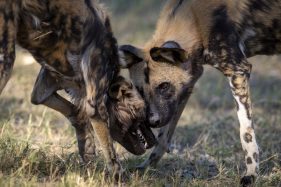 Environmental Photographer Africa
