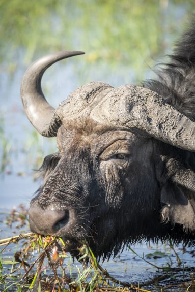 Environmental Photographer Africa