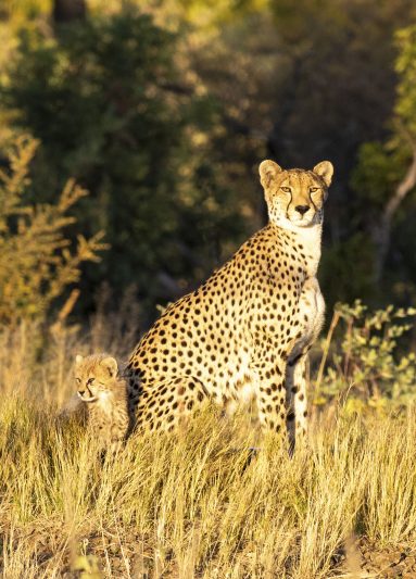 Environmental Photographer Africa