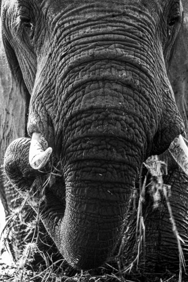 Environmental Photographer Africa