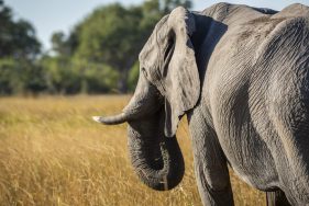 Environmental Photographer Africa