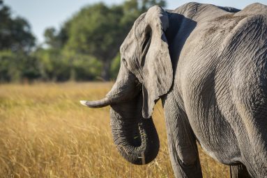 Environmental Photographer Africa