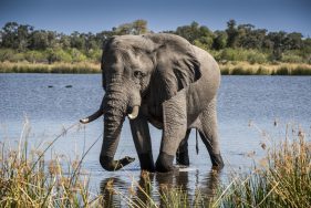 Environmental Photographer Africa