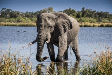 Environmental Photographer Africa