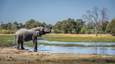 Environmental Photographer Africa