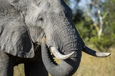 Environmental Photographer Africa