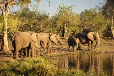 Environmental Photographer Africa