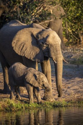 Environmental Photographer Africa