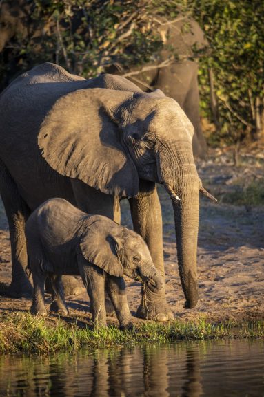 Environmental Photographer Africa