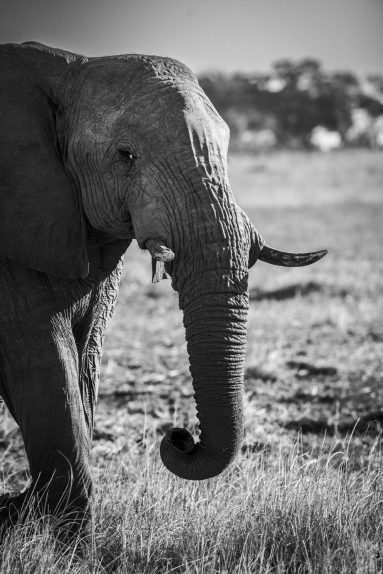 Environmental Photographer Africa
