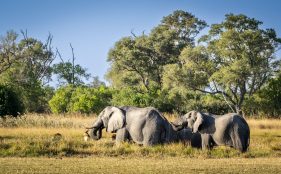 Environmental Photographer Africa