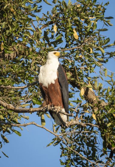 Environmental Photographer Africa