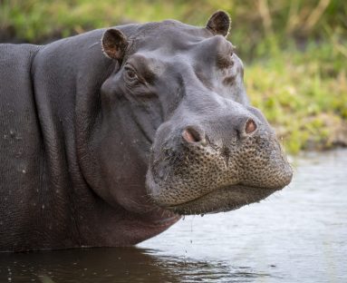Environmental Photographer Africa