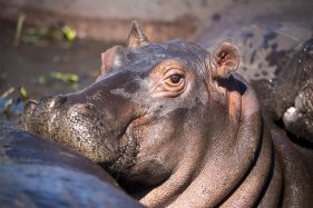 Environmental Photographer Africa