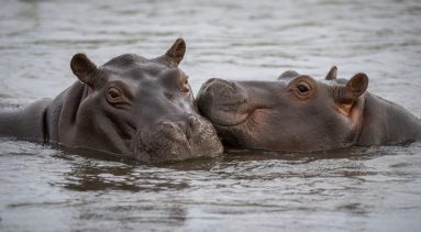 Environmental Photographer Africa