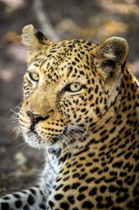 Environmental Photographer Africa