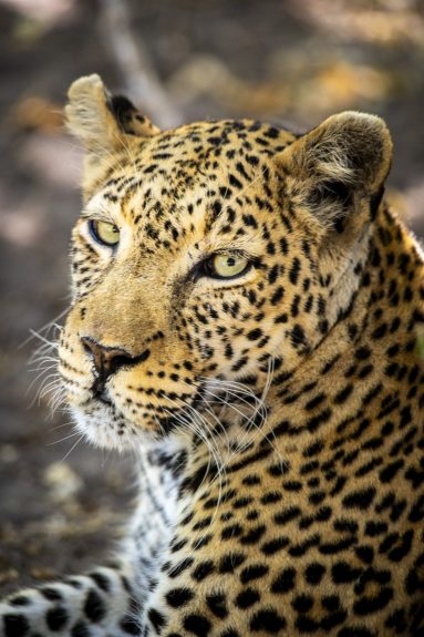 Environmental Photographer Africa
