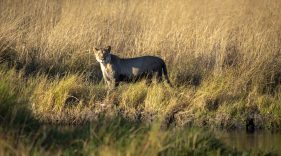 Environmental Photographer Africa