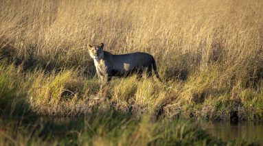 Environmental Photographer Africa
