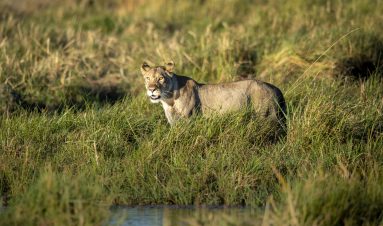 Environmental Photographer Africa