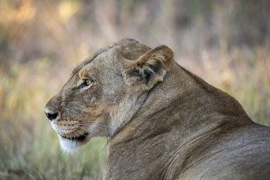 Environmental Photographer Africa