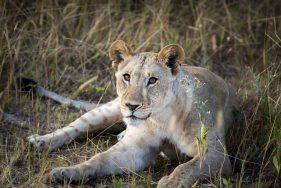 Environmental Photographer Africa