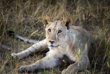 Environmental Photographer Africa