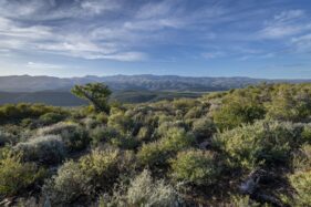 lodge photographer south africa