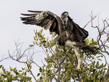 Environmental Photographer Africa