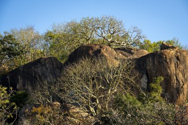 Environmental Photographer Africa