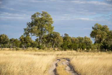 Environmental Photographer Africa