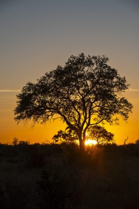 Environmental Photographer Africa