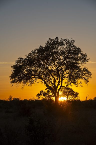 Environmental Photographer Africa