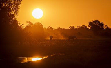 Environmental Photographer Africa