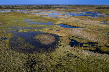 Environmental Photographer Africa