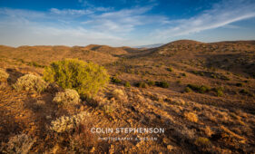 environmental photographer south africa