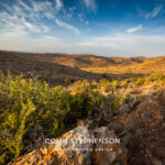 environmental photographer south africa